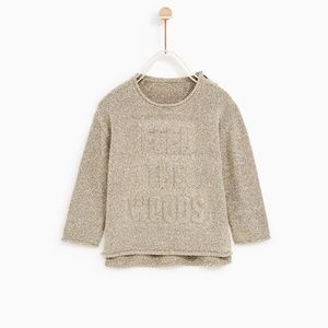 NWT Zara Toddler Sweater
